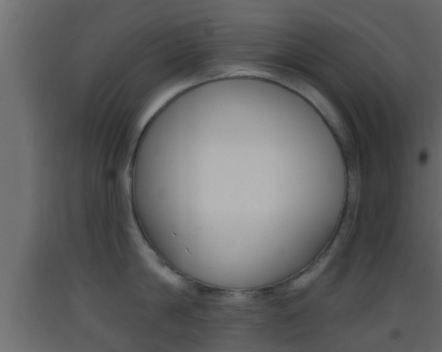 X0000093380814200710111346