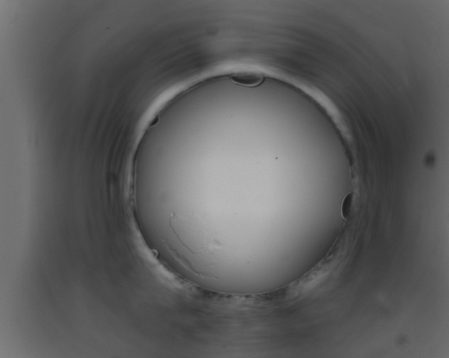 X0000093380815200710111346
