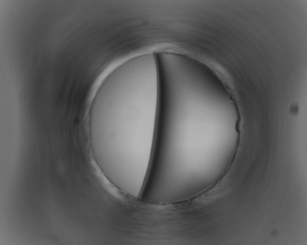 X0000093380816200710111346
