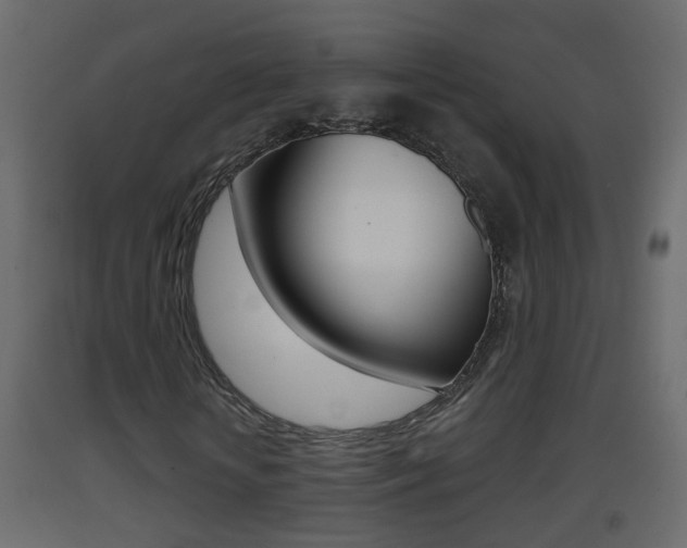 X0000093380818200710111345