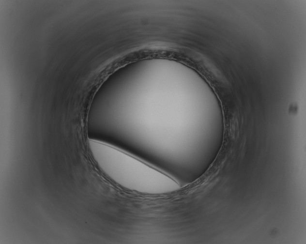 X0000093380821200710111345