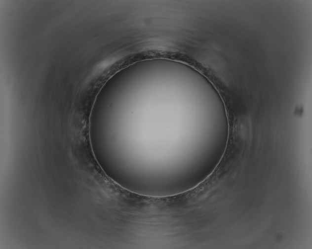 X0000093380822200710111345