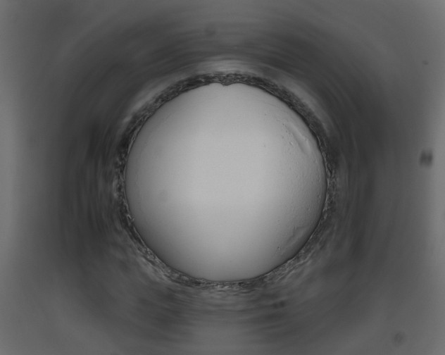 X0000093380823200710111345