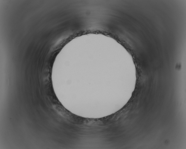 X0000093380824200710111345