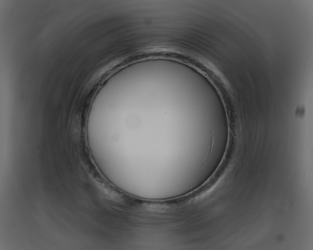 X0000093380825200710111345