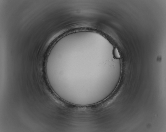 X0000093380826200710111345