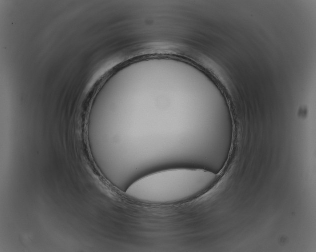 X0000093380827200710111345