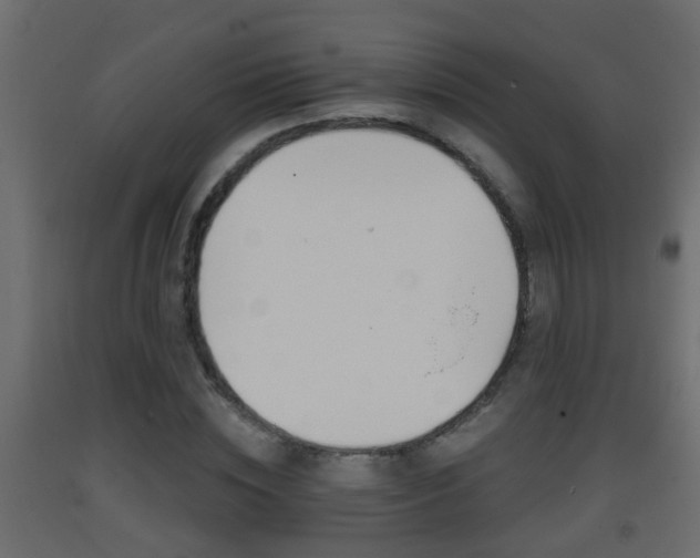 X0000093380828200710111345