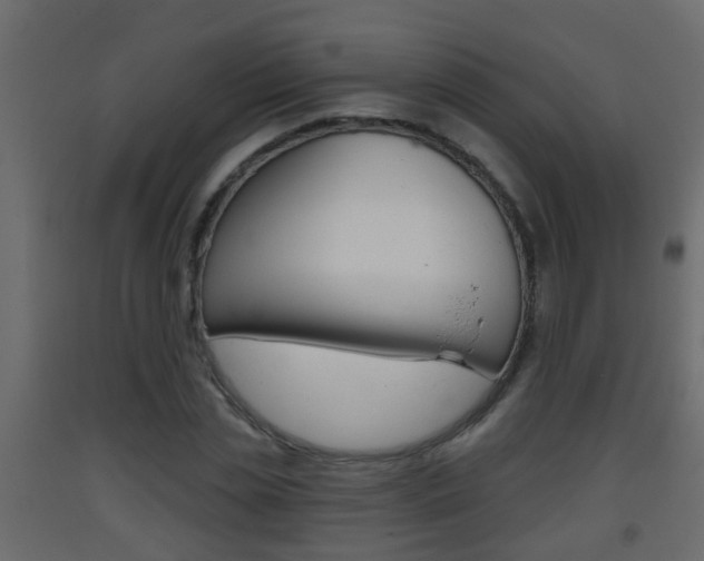 X0000093380829200710111345