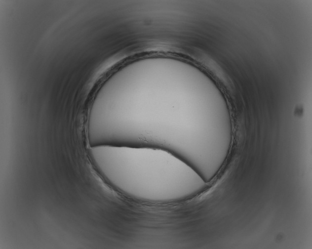X0000093380831200710111345