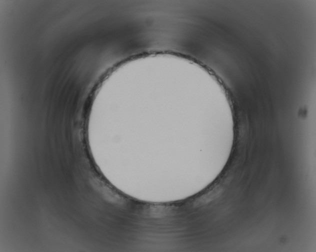 X0000093380832200710111345
