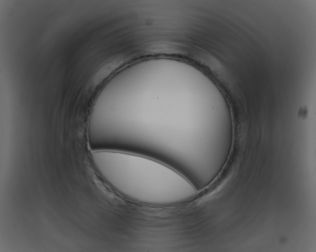 X0000093380833200710111346
