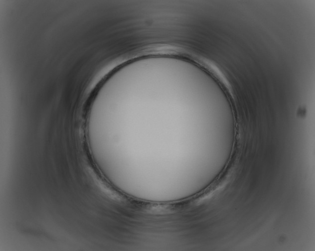 X0000093380835200710111346