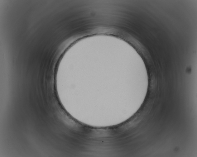 X0000093380836200710111346