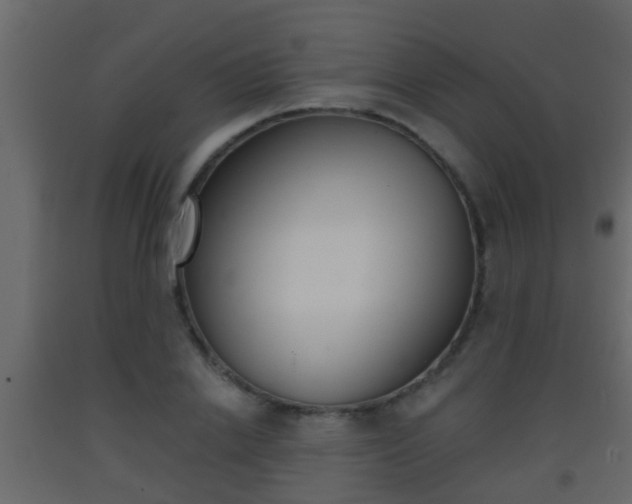 X0000093380838200710111346