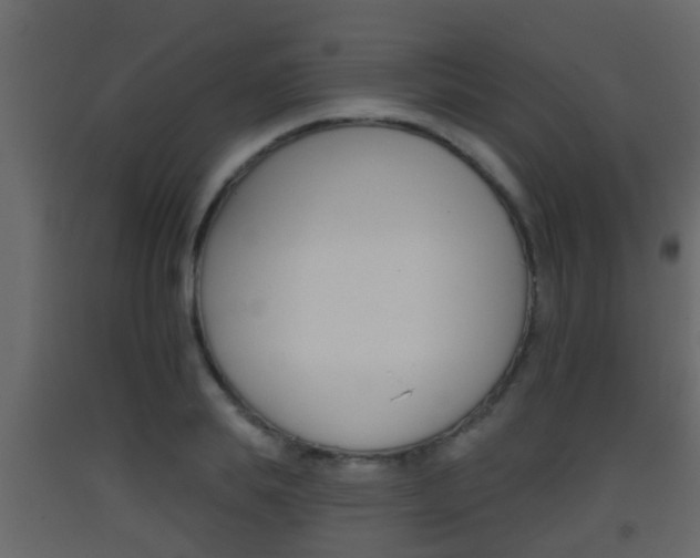X0000093380839200710111346