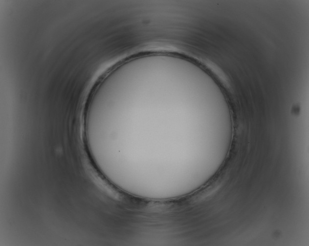 X0000093380840200710111346