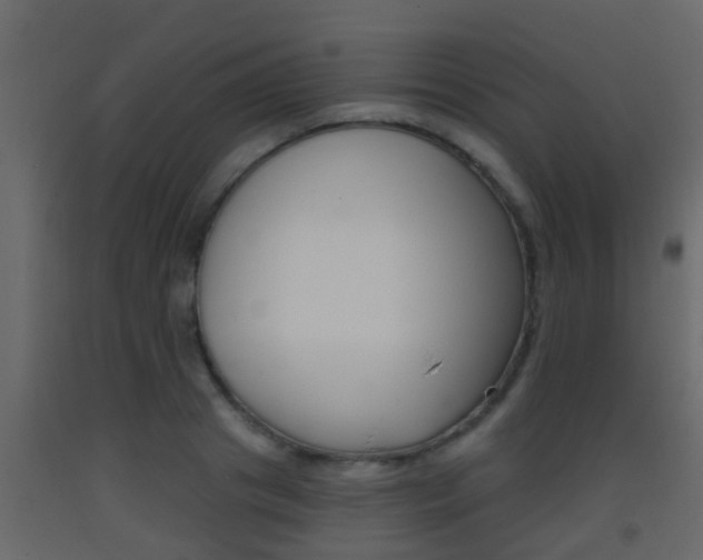 X0000093380841200710111346