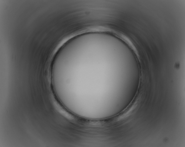 X0000093380843200710111346