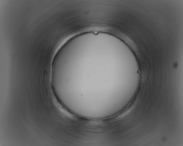 X0000093380844200710111346