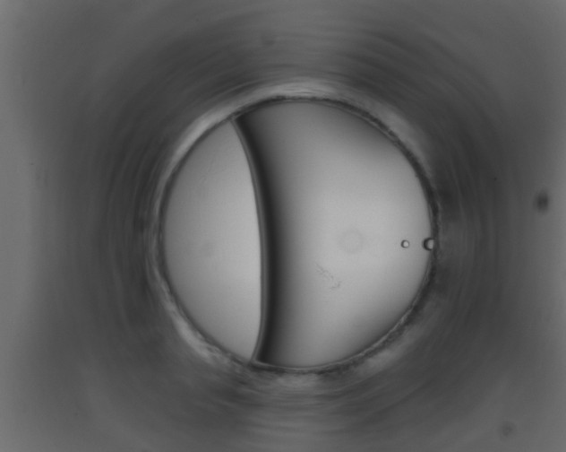 X0000093380845200710111346