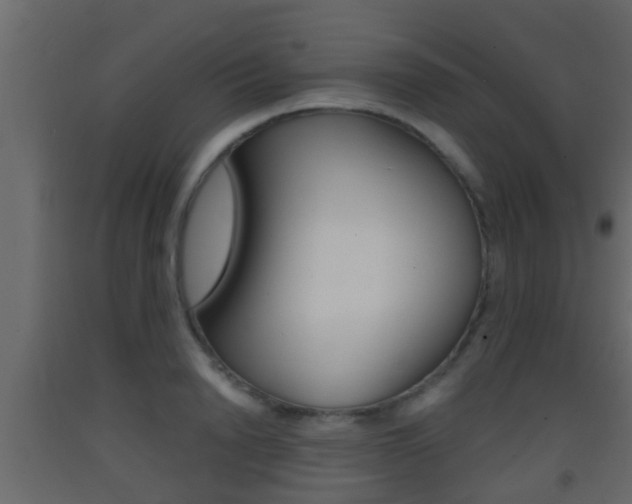 X0000093380846200710111346