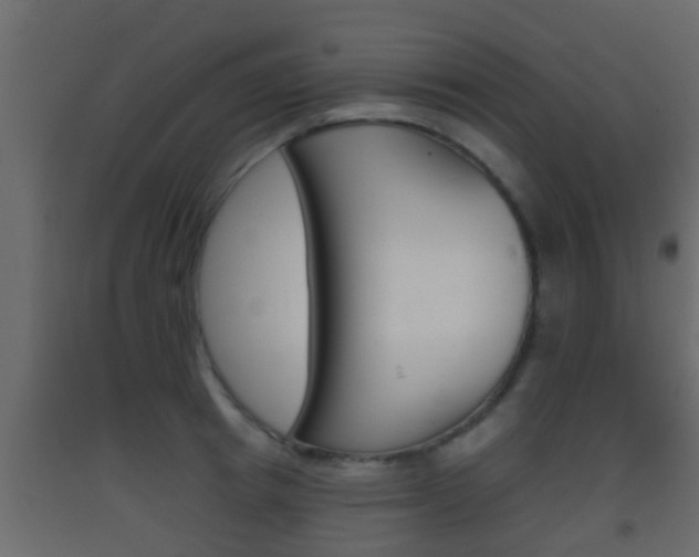 X0000093380849200710111346