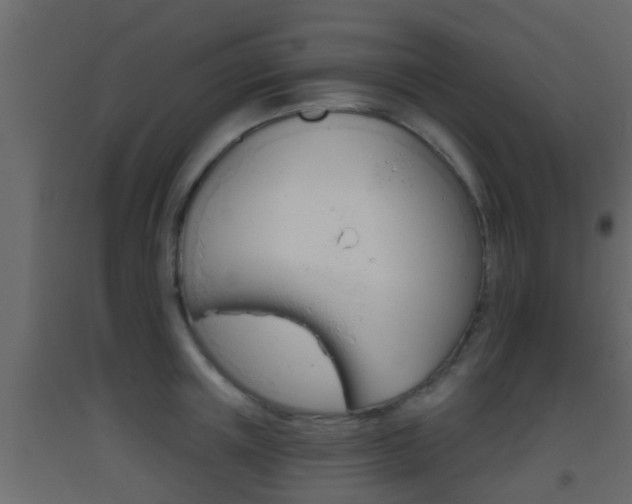 X0000093380851200710111346