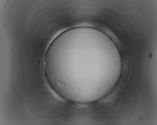 X0000093380852200710111346