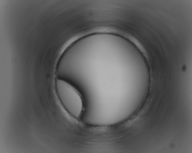 X0000093380853200710111346