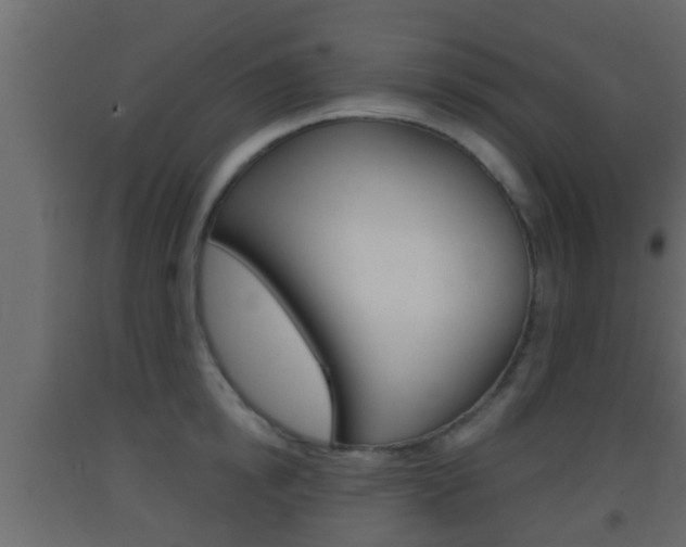 X0000093380854200710111346