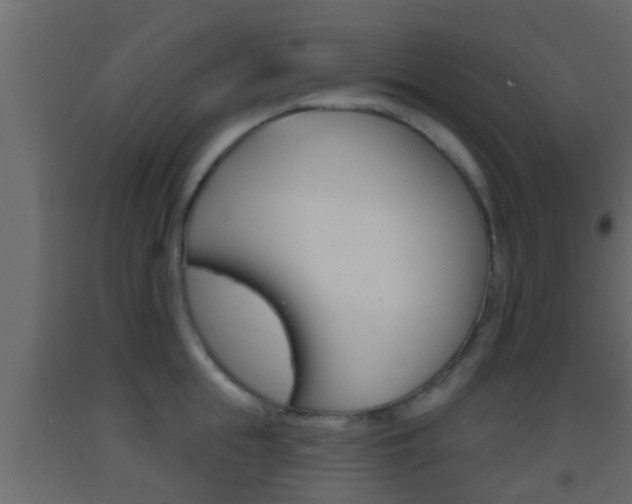 X0000093380855200710111346