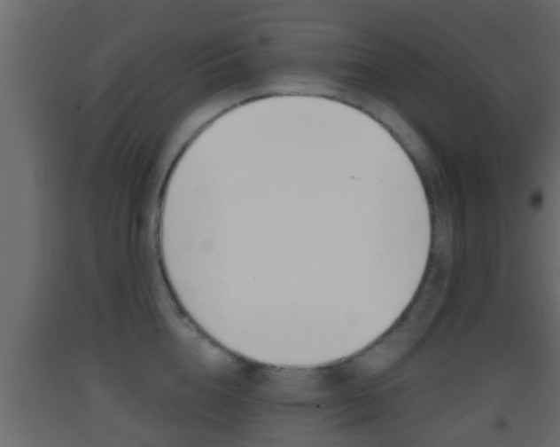 X0000093380856200710111346