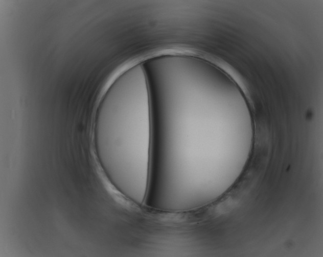 X0000093380861200710111346