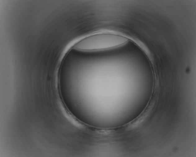 X0000093380862200710111346