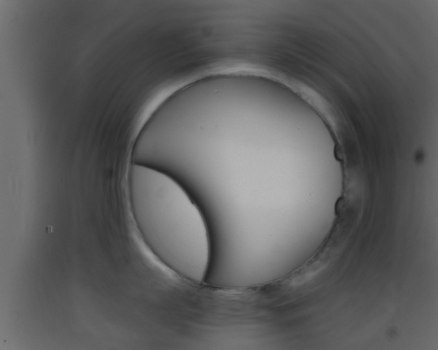 X0000093380863200710111346