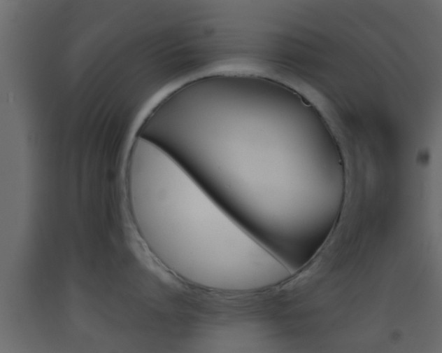 X0000093380864200710111346