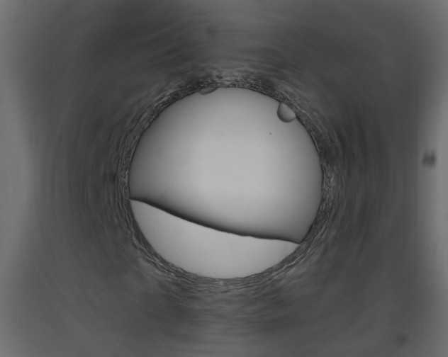X0000093380865200710111345