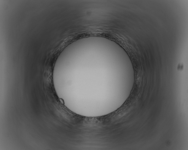 X0000093380866200710111345