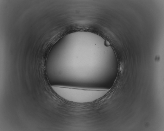 X0000093380867200710111345