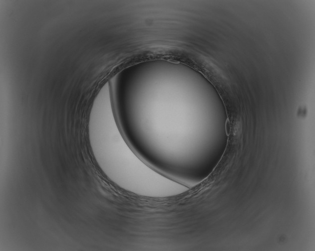 X0000093380868200710111345