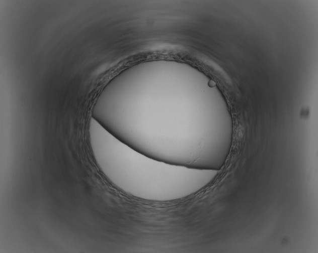 X0000093380869200710111345