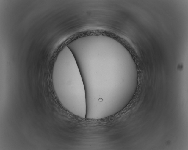 X0000093380871200710111345