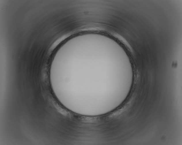 X0000093380874200710111345