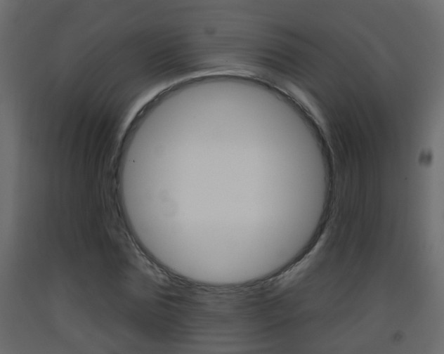 X0000093380875200710111345