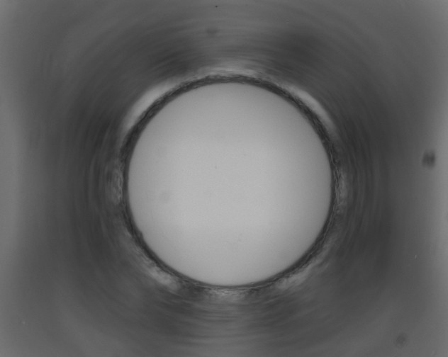 X0000093380878200710111345