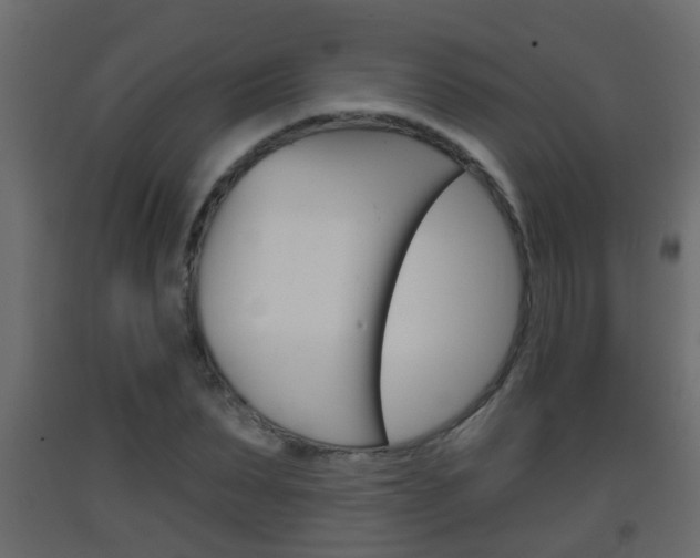 X0000093380879200710111345