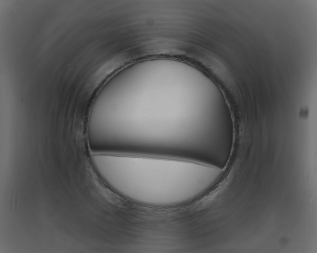 X0000093380881200710111345