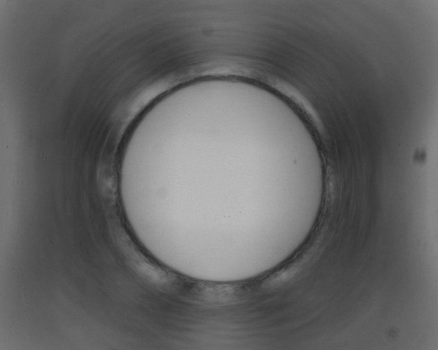 X0000093380882200710111345