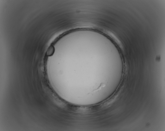X0000093380883200710111345